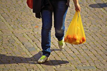 L'industrie norvégienne du shopping coupera 100 millions de sacs en plastique - 16
