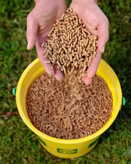 Une nouvelle alimentation réduit les émissions de gaz méthane 17 Une nouvelle alimentation réduit les émissions de gaz méthane - 16