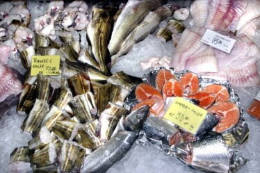 Un tiers des captures de poisson dans le monde est rejeté - 23