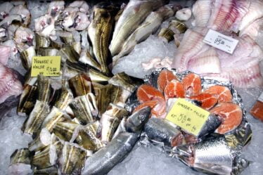 Un tiers des captures de poisson dans le monde est rejeté - 10