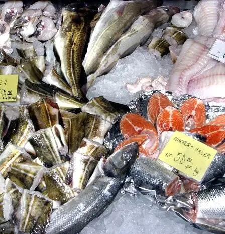 Un tiers des captures de poisson dans le monde est rejeté 26 Un tiers des captures de poisson dans le monde est rejeté - 25