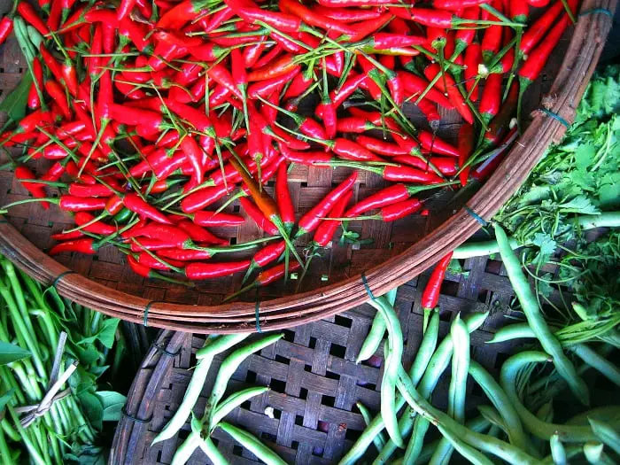 Les médecins préviennent que le piment super puissant peut provoquer des troubles cérébraux douloureux 4 Les médecins préviennent que le piment super puissant peut provoquer des troubles cérébraux douloureux - 3