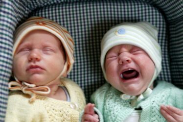 Les bébés pleurent dans différentes langues - 18