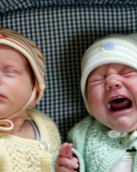 Les bébés pleurent dans différentes langues 5 Les bébés pleurent dans différentes langues - 4