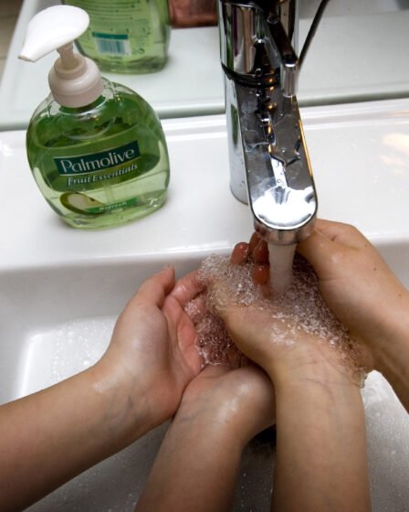 La moitié des savons pour les mains peuvent être dangereux pour votre santé 8 La moitié des savons pour les mains peuvent être dangereux pour votre santé - 7