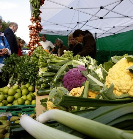 Pénurie de chou-fleur en Norvège et en Europe 8 Pénurie de chou-fleur en Norvège et en Europe - 7