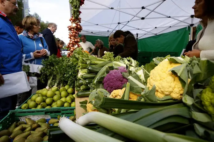 Pénurie de chou-fleur en Norvège et en Europe 4 Pénurie de chou-fleur en Norvège et en Europe - 3