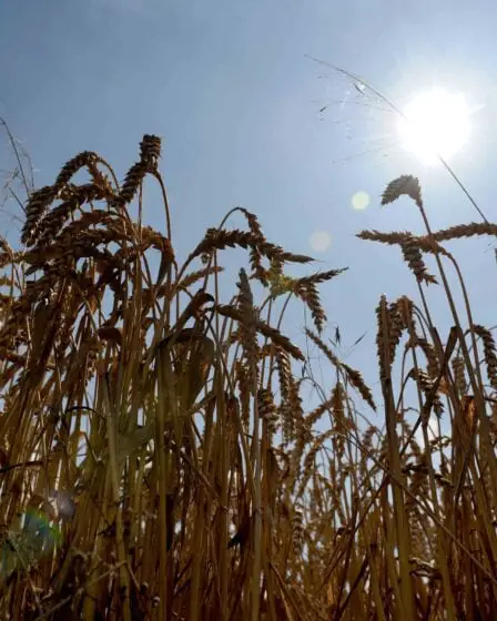 Les changements climatiques réduiront la production alimentaire 11 Les changements climatiques réduiront la production alimentaire - 10