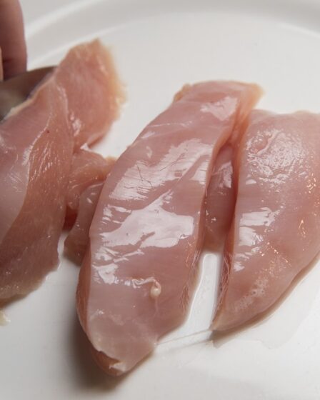 Escherichia coli trouvée dans les produits de poulet vendus par Rema 23 Escherichia coli trouvée dans les produits de poulet vendus par Rema - 22