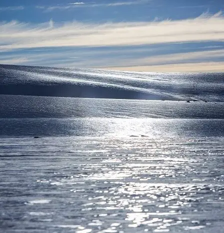 La Norvège ratifie l'accord sur la pêche non réglementée dans l'océan Arctique central 2 La Norvège ratifie l'accord sur la pêche non réglementée dans l'océan Arctique central - 1