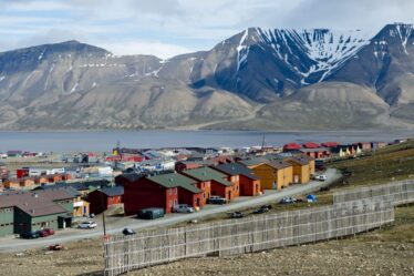 Des scientifiques ont déterré 800 kilos d'os au Svalbard - 63