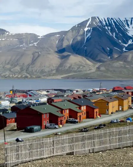 Des scientifiques ont déterré 800 kilos d'os au Svalbard 8 Des scientifiques ont déterré 800 kilos d'os au Svalbard - 7