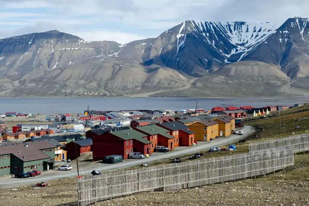 Des scientifiques ont déterré 800 kilos d'os au Svalbard 4 Des scientifiques ont déterré 800 kilos d'os au Svalbard - 3