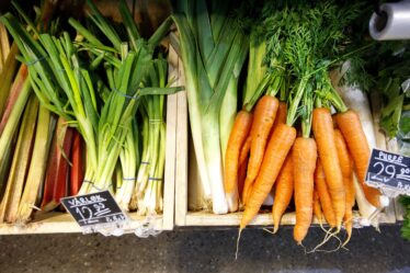 Un chercheur de tendances pense que la nourriture plus simple sera la prochaine tendance - 20