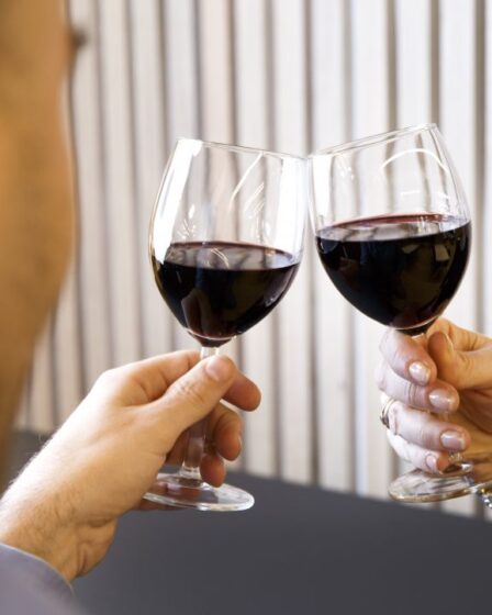 Les adolescents, quel que soit leur sexe, boivent à peu près la même quantité d'alcool 17 Les adolescents, quel que soit leur sexe, boivent à peu près la même quantité d'alcool - 16