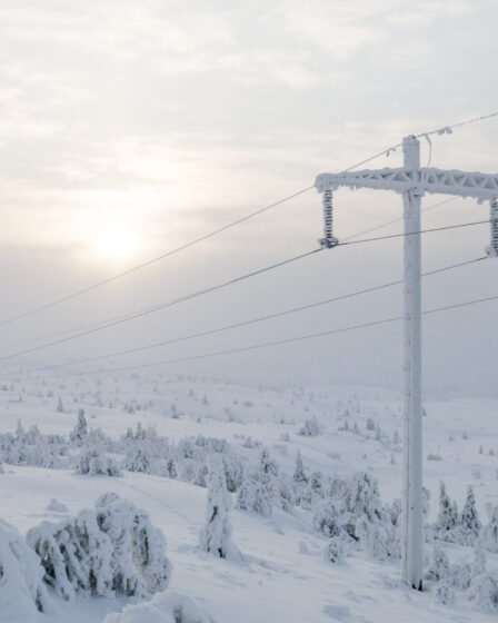 Beaucoup de neige - mais lundi ça se prête 8 Beaucoup de neige - mais lundi ça se prête - 7