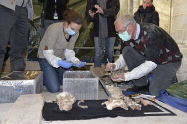 Des chasseurs d'ADN ont ouvert une tombe de Viking en Normandie - 18