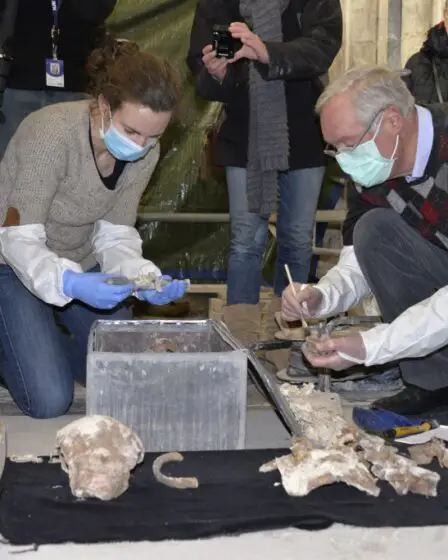 Des chasseurs d'ADN ont ouvert une tombe de Viking en Normandie 5 Des chasseurs d'ADN ont ouvert une tombe de Viking en Normandie - 4