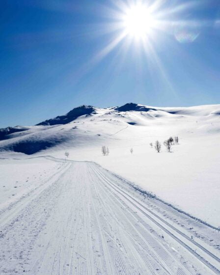 Le beau temps remplit les hôtels à Pâques 23 Le beau temps remplit les hôtels à Pâques - 22
