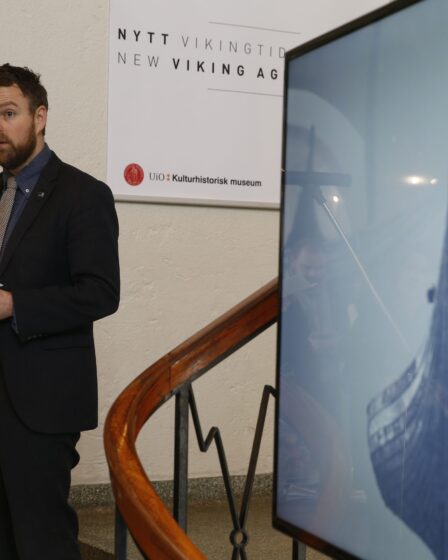 Trois entrées gagnantes au concours de plans et de design pour le nouveau musée Viking - 13