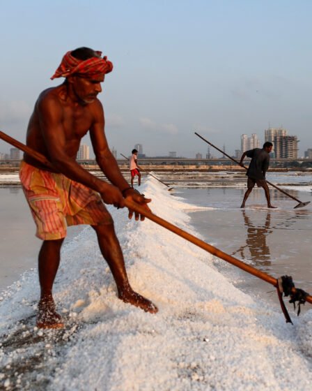 Trop peu de sel dans les aliments augmente le risque de maladie 14 Trop peu de sel dans les aliments augmente le risque de maladie - 13