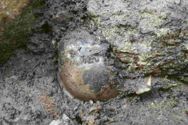 Des archéologues ont retrouvé le crâne de Birkebeiner décédé en 1197 - 92