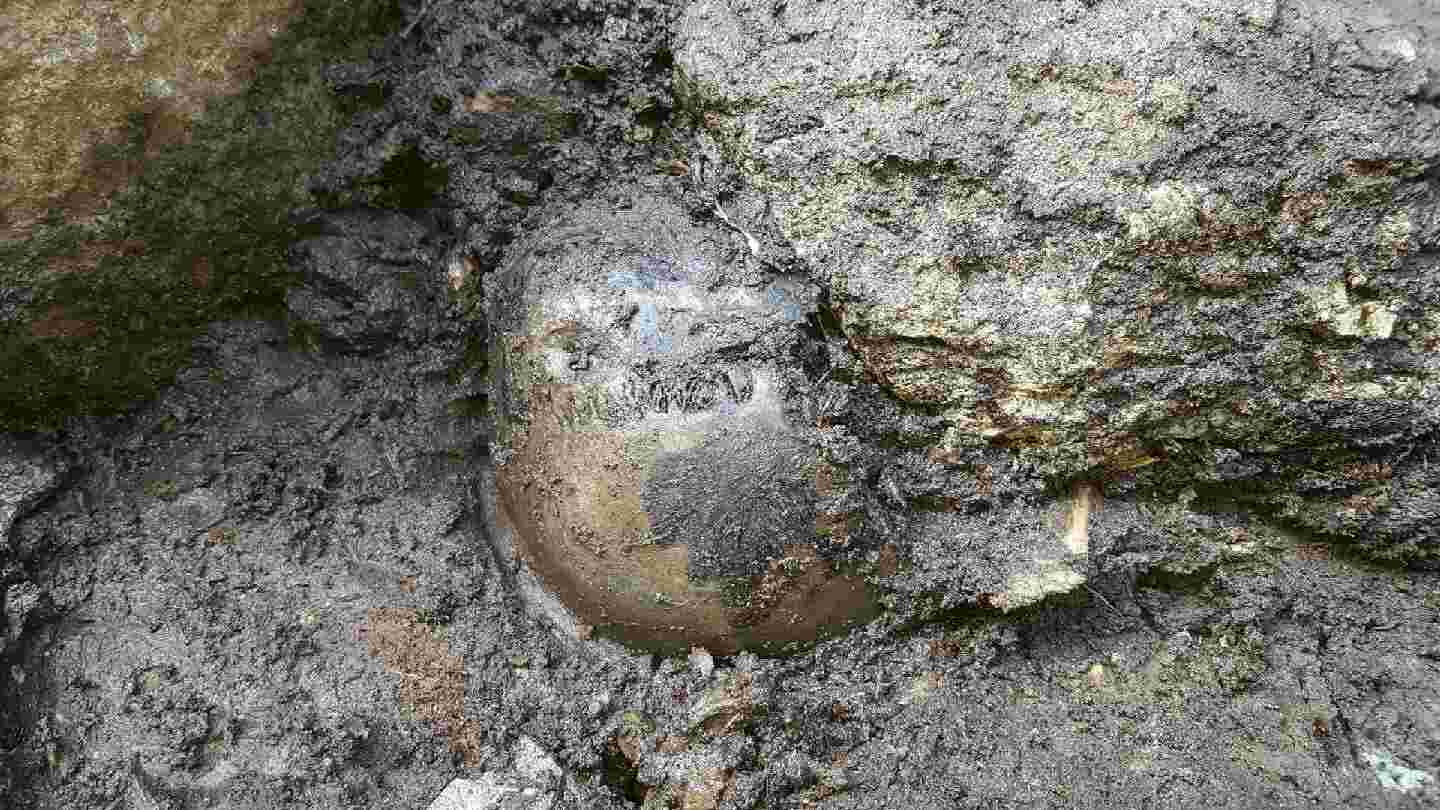 Des archéologues ont retrouvé le crâne de Birkebeiner décédé en 1197 - 3