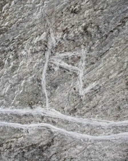 Les Norvégiens doivent avoir plus de connaissances sur le patrimoine culturel, ont déclaré des experts 26 Les Norvégiens doivent avoir plus de connaissances sur le patrimoine culturel, ont déclaré des experts - 25