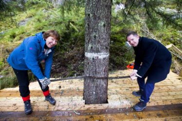 Plaintes concernant l'arbre de Noël norvégien à Londres - 18