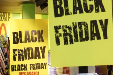 Black Friday avec équivalent vert - 16