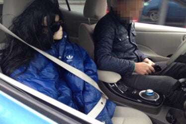 L'homme s'est arrêté avec Mannequin comme passager - 16