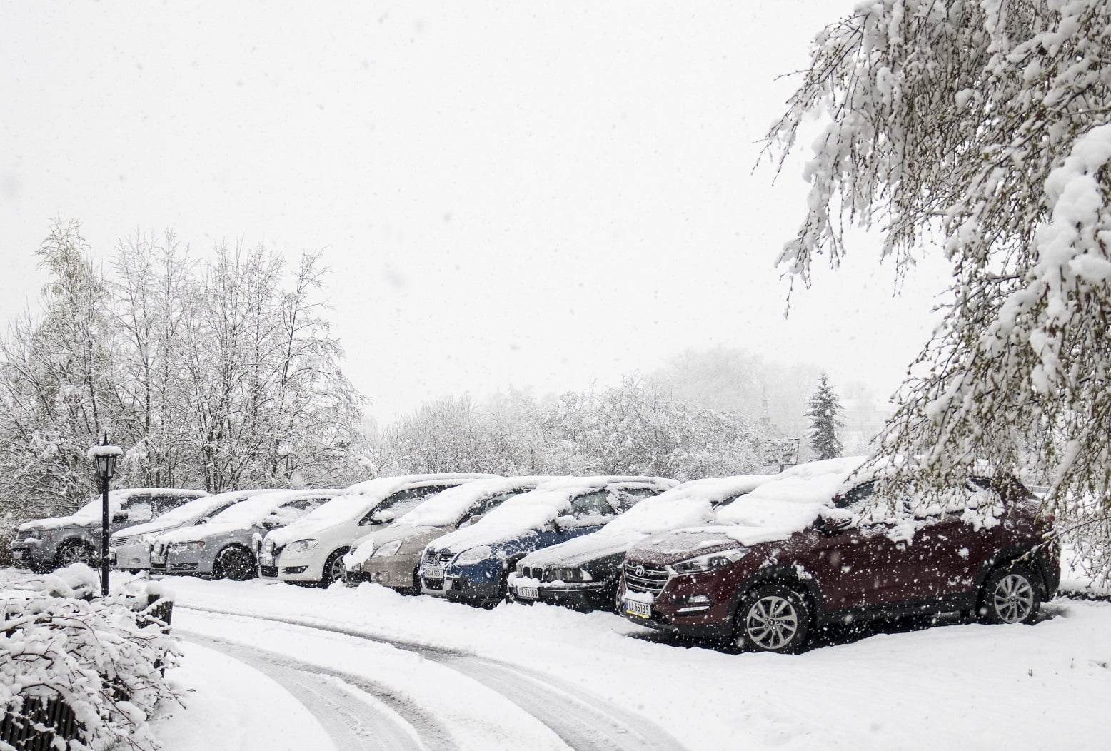 Oslo prépare les pistes de ski après un demi-mètre de neige 4 Oslo prépare les pistes de ski après un demi-mètre de neige - 3