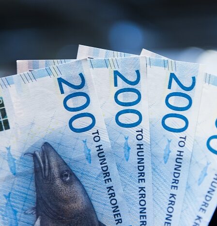 Les ménages norvégiens contrôlent leurs propres finances 5 Les ménages norvégiens contrôlent leurs propres finances - 4