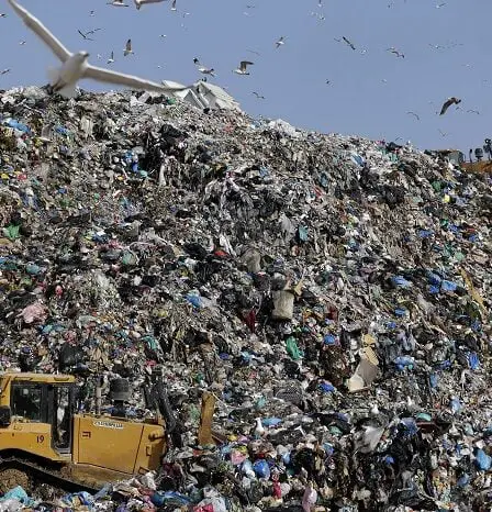 Des chercheurs découvrent une enzyme qui «mange du plastique» 28 Des chercheurs découvrent une enzyme qui «mange du plastique» - 27