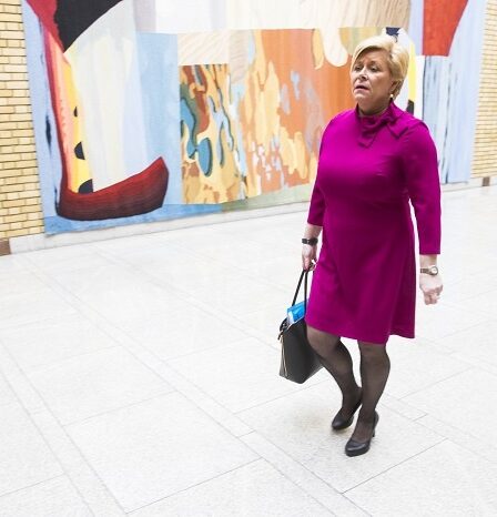 Voici les trois conseils fiscaux de Siv Jensen 17 Voici les trois conseils fiscaux de Siv Jensen - 16