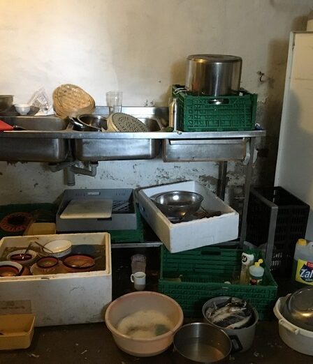 L'Agence norvégienne de sécurité des aliments a imposé une interdiction après des traces de bactéries dans les fraises 8 L'Agence norvégienne de sécurité des aliments a imposé une interdiction après des traces de bactéries dans les fraises - 7