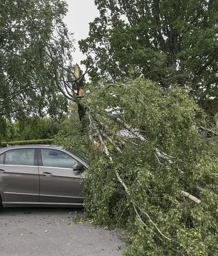 Des millions de couronnes sont endommagées par la tempête dans le sud de la Norvège et la facture augmente 29 Des millions de couronnes sont endommagées par la tempête dans le sud de la Norvège et la facture augmente - 28