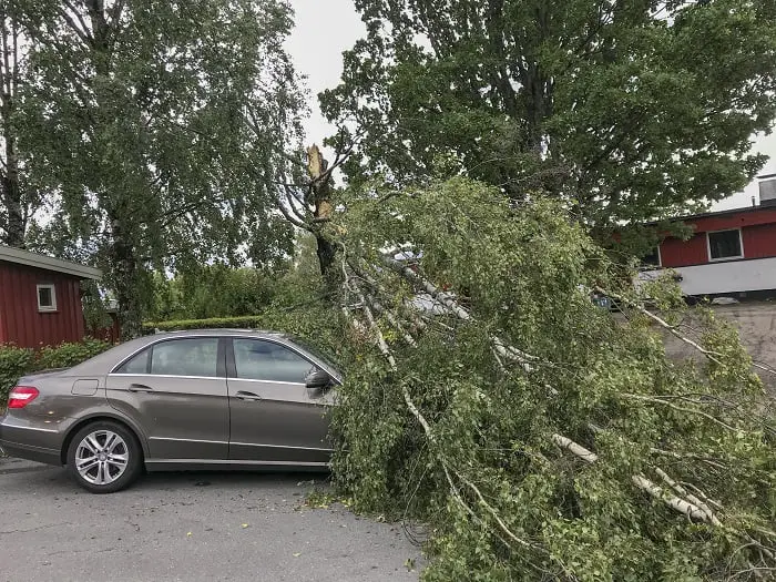 Des millions de couronnes sont endommagées par la tempête dans le sud de la Norvège et la facture augmente - 3
