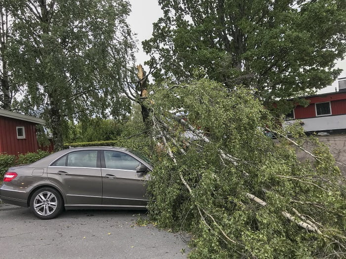 Des millions de couronnes sont endommagées par la tempête dans le sud de la Norvège et la facture augmente 4 Des millions de couronnes sont endommagées par la tempête dans le sud de la Norvège et la facture augmente - 3