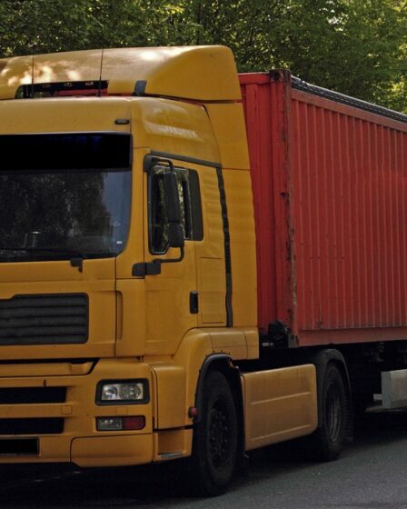 Peu de fret national par les camions étrangers - 10