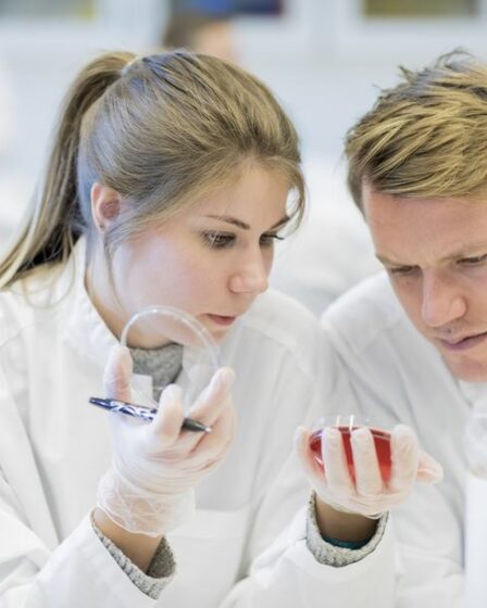 La Norvège glisse sur la liste des attractions professionnelles 28 La Norvège glisse sur la liste des attractions professionnelles - 27