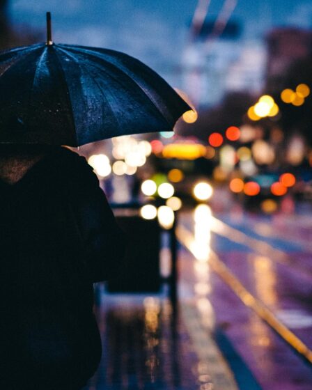 Plus humide que d'habitude dans l'est de la Norvège 2 Plus humide que d'habitude dans l'est de la Norvège - 1