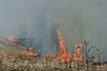 Risque d'incendie de forêt et d'herbe dans le sud de la Norvège - 18