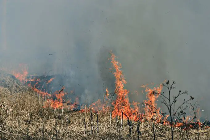 Risque d'incendie de forêt et d'herbe dans le sud de la Norvège 4 Risque d'incendie de forêt et d'herbe dans le sud de la Norvège - 3