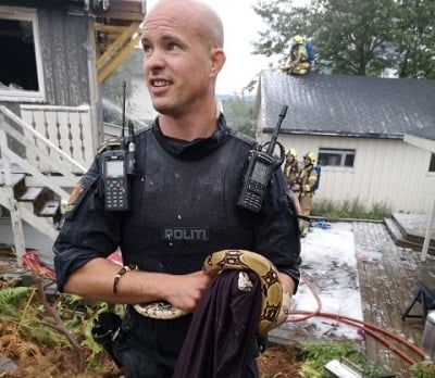 10 pythons sauvés d'une maison en feu à Kvinnherad - 3