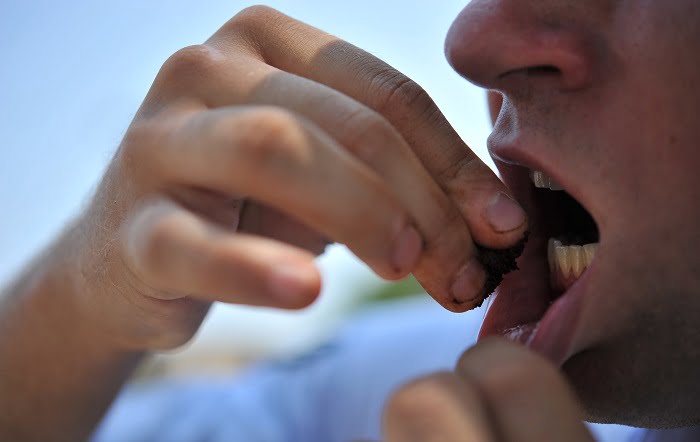 Les ventes de tripes à priser sans nicotine 4 Les ventes de tripes à priser sans nicotine - 3