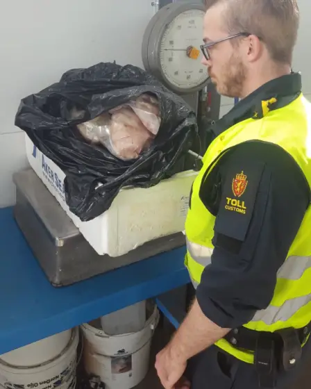 Les douanes d'Oslo ont saisi une tonne de poissons touristiques 23 Les douanes d'Oslo ont saisi une tonne de poissons touristiques - 22
