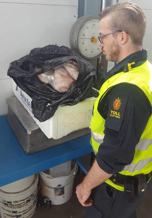 Les douanes d'Oslo ont saisi une tonne de poissons touristiques 6 Les douanes d'Oslo ont saisi une tonne de poissons touristiques - 5
