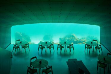 Le restaurant sous-marin "Under": Les repas sous-marins en Norvège ont l'air incroyable - 20