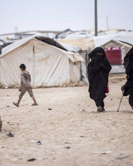 Aftenposten : Des femmes norvégiennes liées à l'Etat islamique sont expulsées de Syrie - 28